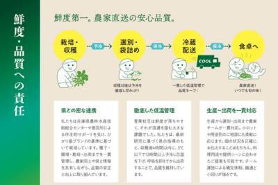 MyPR画像